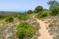 Trail, Cliffs, beach and waves in Arrifana