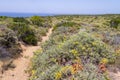 Trail, Cliffs, beach and waves in Arrifana