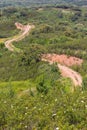 Trail in Cork and pine trees forest and Esteva flowers Santiago