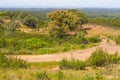 Trail in Cork tree orest and Esteva flowers Santiago do Cacem