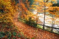 Trail covered with fallen autumn leaves. Beautiful landscape. Royalty Free Stock Photo