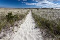 Trail on Crane beach in Massachusetts Royalty Free Stock Photo