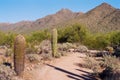 Trail through the desert at McDowell Sonoran Preserve Royalty Free Stock Photo