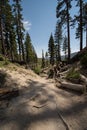 Trail from the Devils Postpile National Monument that leads to Rainbow Falls, in California Eastern Sierra Nevada MOUNTAINS Royalty Free Stock Photo