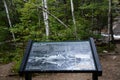 Trail at Dianas Baths in Bartlett, New Hampshire USA