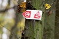 Trail direction cyclist sign Royalty Free Stock Photo