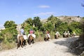 Trail of Donkey Riding Women