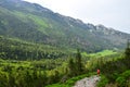 The trail down the valley Dolina Kondratowa to the lodge Schronisko na Kondratowej Hali. A hiker on the track. High Tatras, Poland