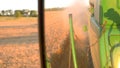 Trail of dust behind harvester.