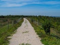 Trail through Fairburn Ings Nature Reserve, West Yorkshire, England