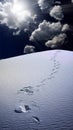 Trail of footprints in desert Royalty Free Stock Photo