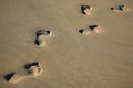 Trail of footprints in sea sand - copy space Royalty Free Stock Photo