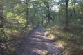 Trail in the forest in autumn, landscape of road in scenic nature at fall and colorful trees Royalty Free Stock Photo