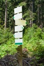 Trail forest direction sign crossroad post Royalty Free Stock Photo