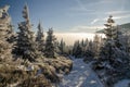 Trail in forest 1, winter time, Giant Mountains, Czech Republic Royalty Free Stock Photo