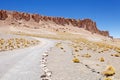 Trail and geological monoliths close to Salar the Tara, Chile