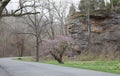 Trail in Giant City State Park