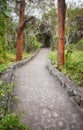 Trail by giant opuntias (Opuntia galapageia) on Santa Cruz Island, Galapagos National Park, Ecuador