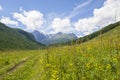 The trail goes to the Altai Mountains in Russia landscape