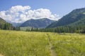 The trail goes to the Altai Mountains in Russia landscape