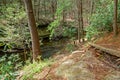 Trail going down to the creek Royalty Free Stock Photo