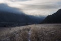 The trail through the grass field covered with frost at dawn, Altai