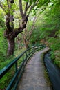 Trail in Greece