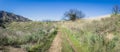 Trail in Green California Hills Royalty Free Stock Photo