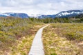 Trail in Gros Morne National Park Royalty Free Stock Photo