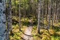 Trail in Gros Morne National Park Royalty Free Stock Photo