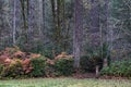 Trail head leading into forest on foggy fall morning Royalty Free Stock Photo