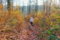 Trail on hill among autumn vegetation on misty background, woman with her dog back to camera Royalty Free Stock Photo