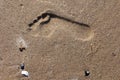 Trail of a human footprint on deserted sandy beach Royalty Free Stock Photo