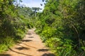 Trail in Itaimbezinho Canyon