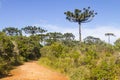 Trail in Itaimbezinho Canyon