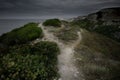 Trail on the jangul Coast. Royalty Free Stock Photo