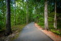 Trail at Jetton Park, in Cornelius, North Carolina.