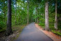 Trail at Jetton Park, in Cornelius, North Carolina.