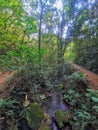 Trail 27 laps, Honorio Bicalho, Rio Acima, Minas Gerais, Brazil. Royalty Free Stock Photo