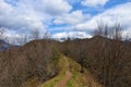 Trail leading from Kamnek hill
