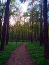 Trail through loess gorges in wodny dol national park