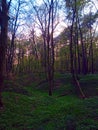 Trail through loess gorges in wodny dol national park