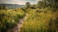 trail leading onto mountains with flowering meadows. Generative AI