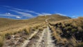 Trail leading over a mountain ridge in Otago