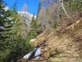 Trail leading past a slope covered in spruce, beech and larch forest Royalty Free Stock Photo