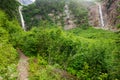 Trail leading to the Twin Falls of Smithers, British Columbia, Canada Royalty Free Stock Photo