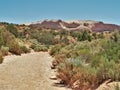 Wire Pass Trail to Buckskin Gulch