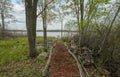 Trail leads to a pier on the lake