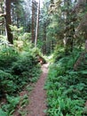 A trail leads to wilderness in North Cascades Royalty Free Stock Photo