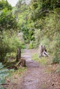 Little Waterloo Bay Campsites